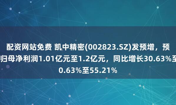 配资网站免费 凯中精密(002823.SZ)发预增，预计上半年归母净利润1.01亿元至1.2亿元，同比增长30.63%至55.21%