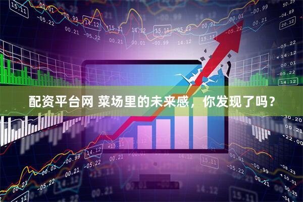 配资平台网 菜场里的未来感，你发现了吗？